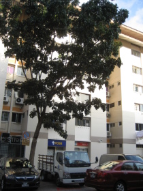 Blk 254 Serangoon Central Drive (Serangoon), HDB 3 Rooms #280432